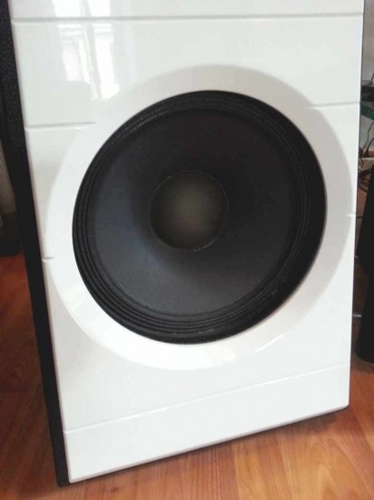 Diesis Audio Aura woofer vista anteriore